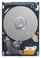 Seagate ST31000425SS